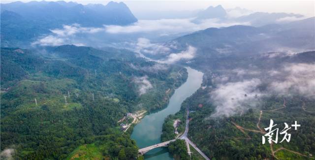 阳山深入实施“绿美生态建设”，持续让山地“绿起来”、让森林“大起来”、让人居环境“美起来”、让群众“富起来”。