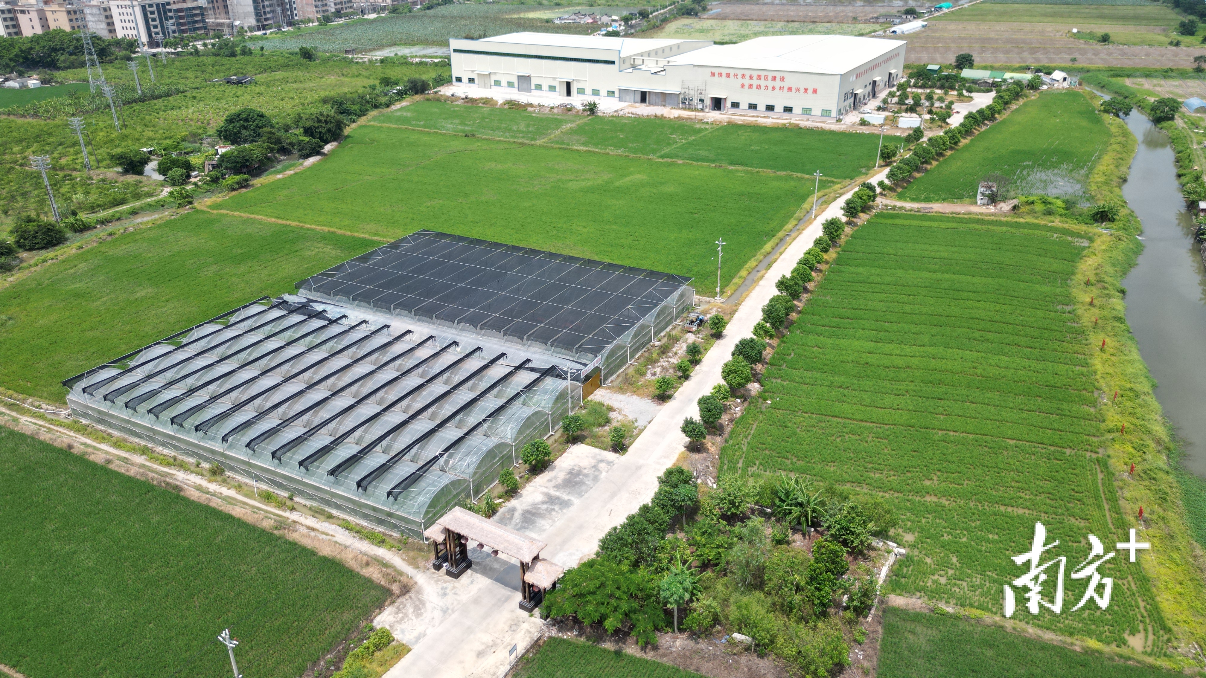 2024中国农民合作社500强正式发布，汕头3家入围