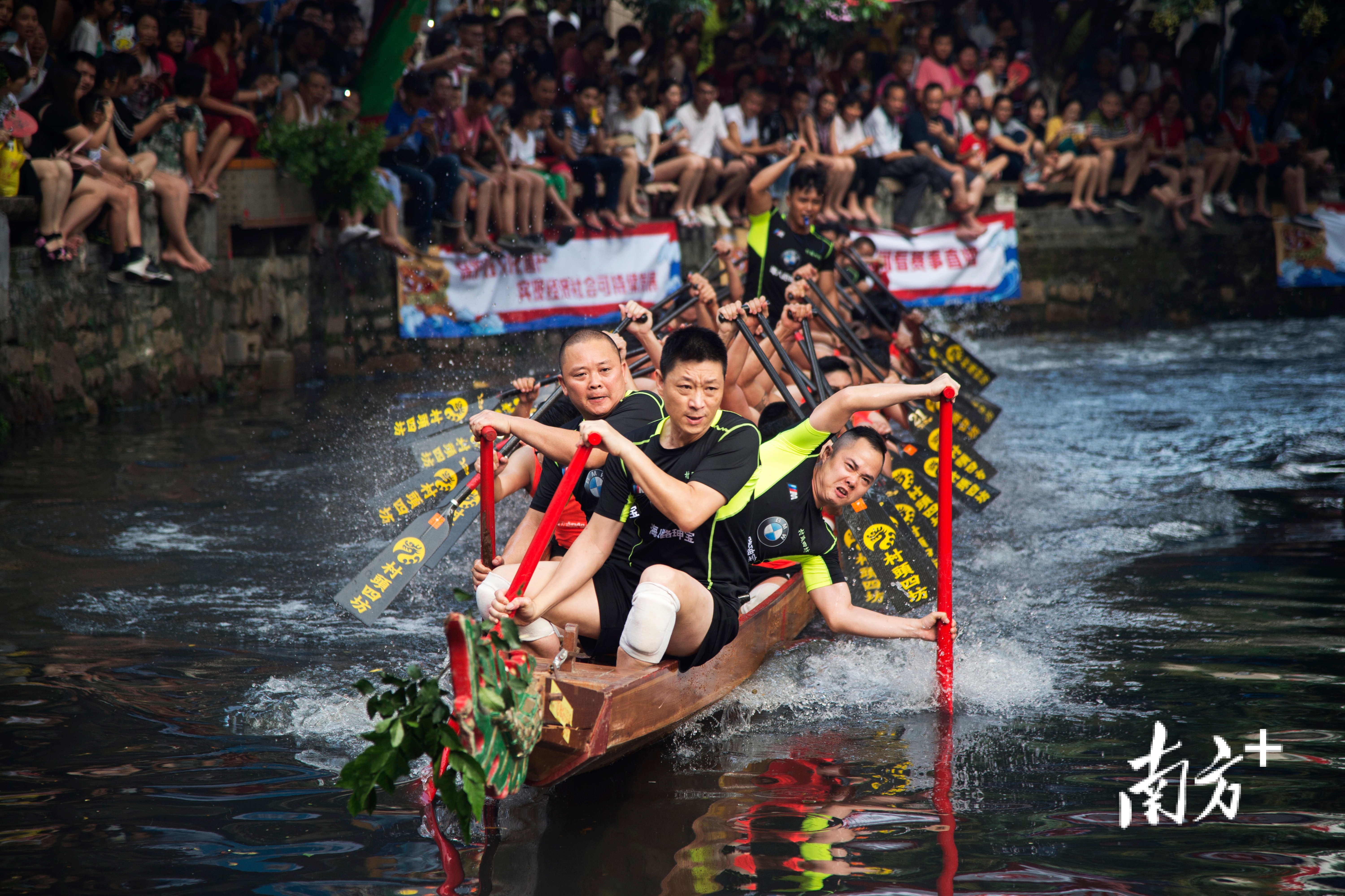 叠滘龙船已成为桂城响亮的文化IP。桂城宣办供图