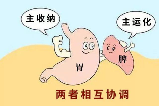 脾胃养护全攻略:从“胃”开启健康之旅