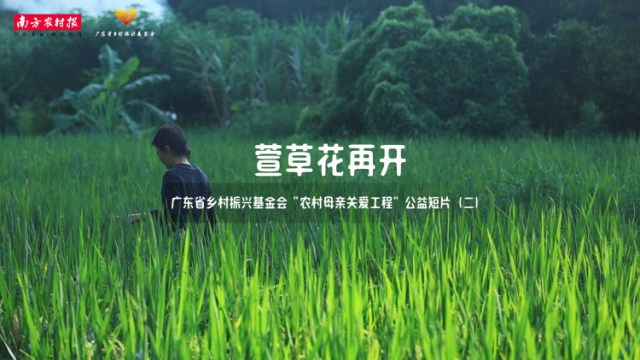 萱草花再开 ——广东省乡村振兴基金会“农村母亲关爱工程”公益短片
