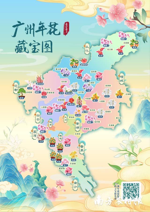 2025年广州年花藏宝图宣告，扫码可取患上162家花卉种植户及企业年花信息。  南方村落子报 陈静 拍摄