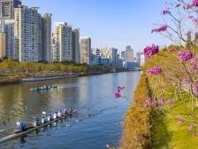 深圳“最宜居”街道：半赏繁华半揽景，此心安处是吾乡 | 从“街道画像”看深圳高质量发展