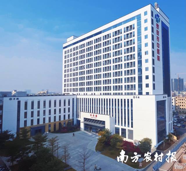 罗定市中医院二期建树名目