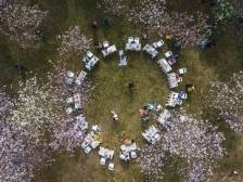 热词里的龙岗2024⑧｜“情绪价值”给足，文化出圈花式“整活”挺会的！