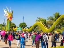 旗山时评｜菊会新热度，文旅新高度