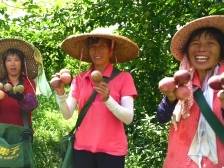 7.1%！过去一年，河源农村居民荷包涨得快 | 百千万 又一年