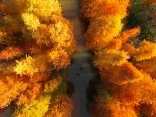 去这里，开启“红”运 | 周末叹广东