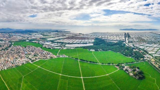 海报｜更高质量推进“百千万工程”，中山这样干