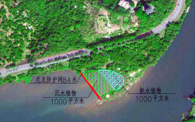 广州从化建成2000m²人工湿地，护航流溪河流域水产种质资源