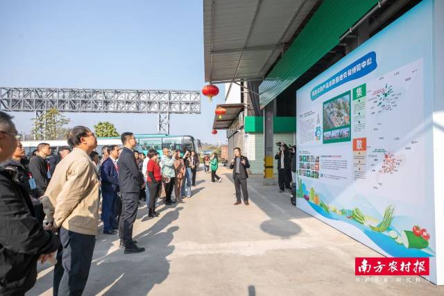 南方农村报 王富迪 拍摄