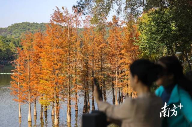 南方+ 郑新洽 拍摄