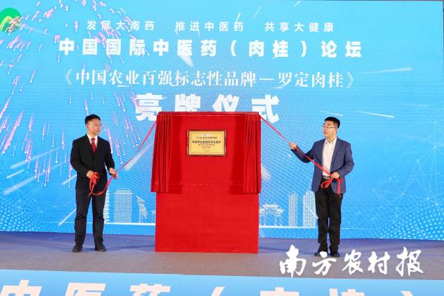 中国农业百强标志性品牌——罗定肉桂亮牌。