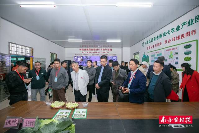 南方农村报 王富迪 拍摄