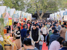 南方观察｜四海宾朋欢聚一堂，道滘美食文化节彰显湾区融合魅力