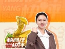盐焗鸡的反击 | 杨阿洋快评