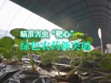 筛选“靶心”，精准狙击害虫！奠定绿色农药研发基础