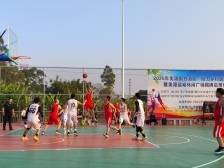 廉江横山VS安铺！以球会友激活“镇”能量