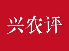 快评丨以微短剧赋能乡村振兴，广东“出招”能否步步领先？