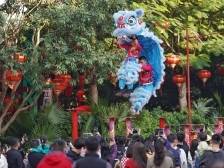 广东2024年旅游总收入预计过万亿元