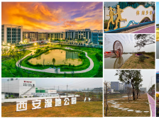 加速迈向千亿镇街！数读高明荷城2024“百千万工程”