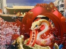 在春节，越秀西湖花市五大亮点提前看