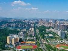 “首位度”刷新！2024深圳龙岗有多拼，这些“第一”告诉你