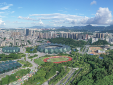 深圳龙岗：2024年工业增长创近五年最好成绩