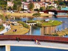 陈村2024：绿美“上分”，花样绽放