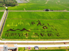 明山秀水，城载未来！数读高明明城2024“百千万工程”