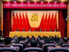 打造人文经济示范区！南海区委全会召开