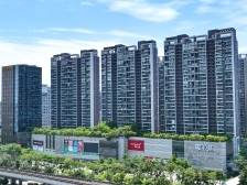 龙岗街道党工委书记杨少锋：以“四有一无”为引擎，驶向高质量发展新航程