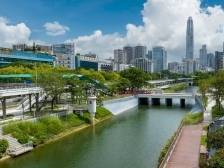 福田“进业”③｜自然有盛景、市民有体感，“绿美福田”何以实现？