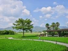 晨观山海 |“宿”造清远