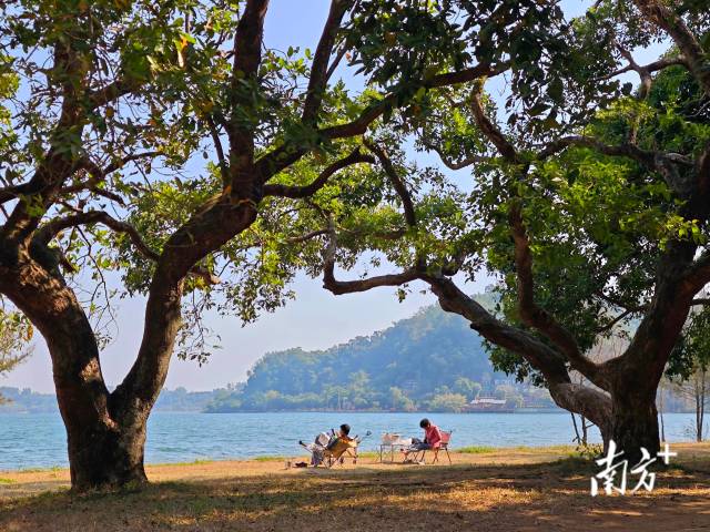 2025年1月4日，湛江湖光岩风景区，市民在湖边正沐浴着冬日的暖阳。南方+拍客 陈永锋 摄