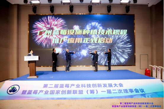 會(huì)上舉行了廣州市地方標(biāo)準(zhǔn)《藍(lán)莓設(shè)施種植技術(shù)規(guī)程》推廣應(yīng)用啟動(dòng)儀式。  受訪者供圖