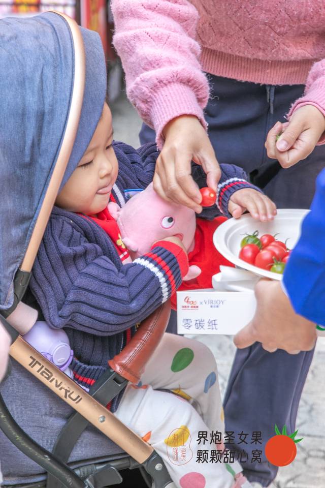 小朋友被甜甜脆脆的界炮圣女果所吸引，爱不释手。