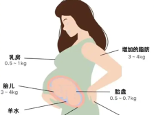 新手孕妈须知：孕期也要控制体重