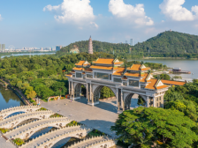 美味最顺德，欢乐过大年！顺德新春活动保姆级攻略出炉