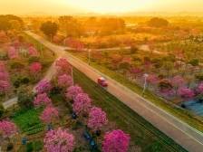 想过温暖而惬意的冬天？来广东吧｜南方+拍客一周精选