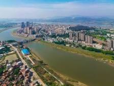 芦苞2024：改革先锋，树标立杆