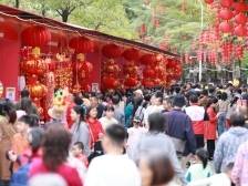 到杏坛过大年！这份攻略请收好