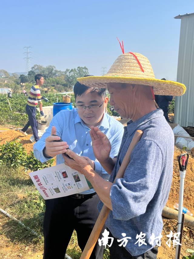 南方农村报 叶香玲 拍摄