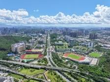 厚植新时代履职情怀，深圳龙岗区政协以奋进之笔书写高质量答卷