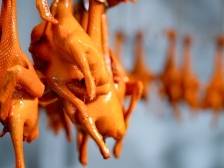 煮熟的鸽子也会飞？看“兴宁鸽”如何飞入百姓餐桌 | 聊聊“兴宁鸽”