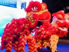 醒狮舞蹈、非遗体验……广州白云站“花式”过大年