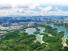 回望2024｜持续“上新”的龙华：都市核心区登上更大舞台
