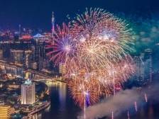 水陆空三花齐放，荔湾多个花市邀您共赏新春繁花盛宴