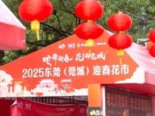 莞城花市开市啦！@东莞街坊，快来行花街