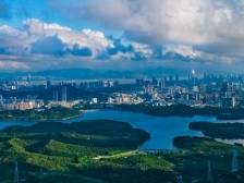 最具未来感街道：科创攀峰引领新城新街 | 从“街道画像”看深圳高质量发展